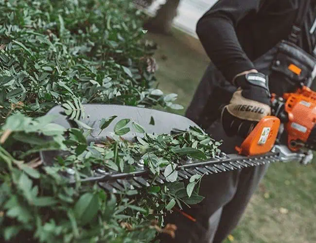 Bush Trimmers at White's Magneto & Supply