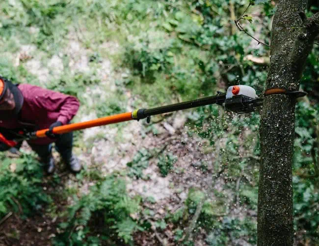 Pole Saws at White's Magneto & Supply
